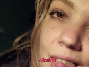 AliceWolf X Cam