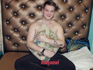 andyansel X Cam