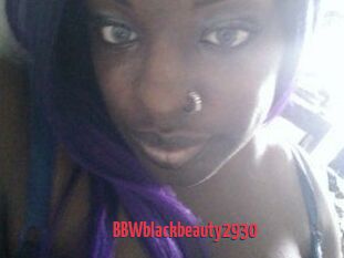 BBWblackbeauty2930