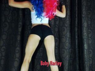 Baby_Harley