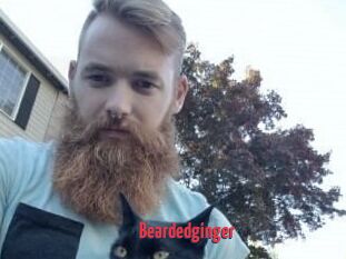 Beardedginger