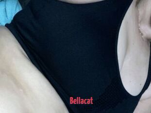 Bella_cat