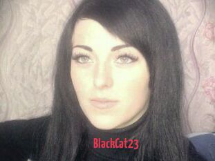 BlackCat23