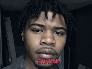 Black_Alfalfa