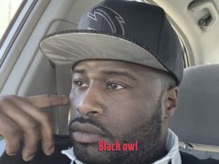 Black_owl