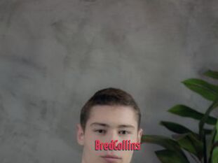 BredCollins