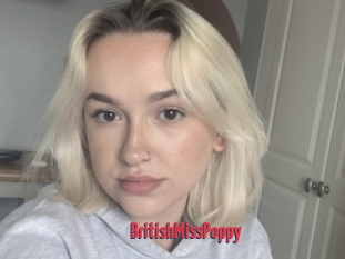 BritishMissPoppy