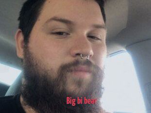 Big_bi_bear