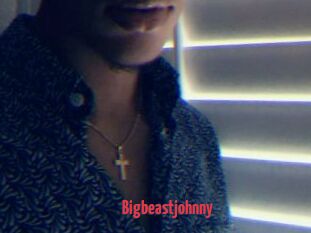 Bigbeastjohnny