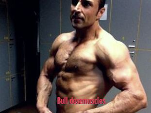 Bull_dosemuscles