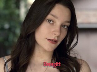 elenegitt X Cam
