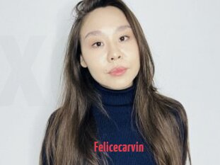 Felicecarvin
