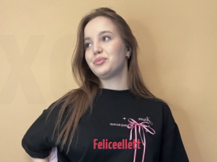 Feliceellett