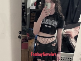 Femboyforveiws