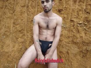 Hairylatinhudick