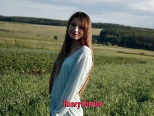 Honeydomino