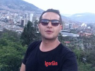 IgorGin