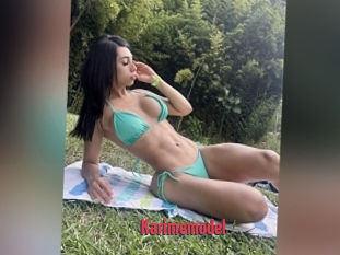 Karimemodel