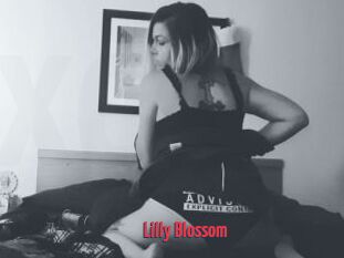 Lilly_Blossom