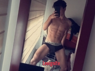 Leoignite