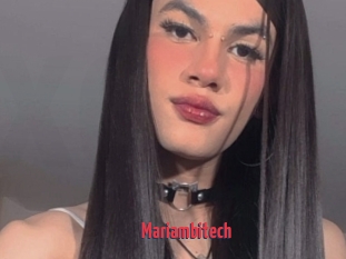 Mariambitech