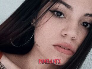 PAMELA_HTX