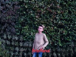 PeterMorval X Cam