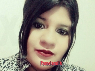 Pamelamilk