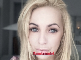 Pamelamodel