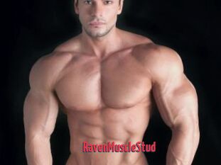RavenMuscleStud