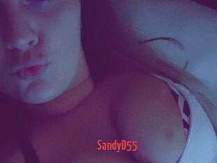 SandyD55