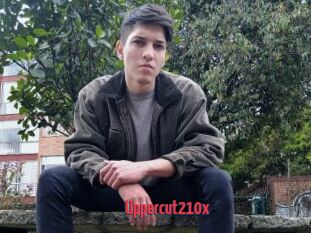 Uppercut210x