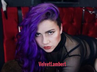 VelvetLambert