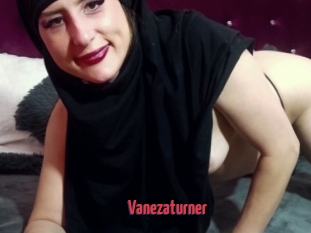 Vanezaturner