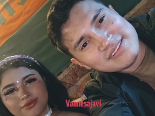 Vannesajavi