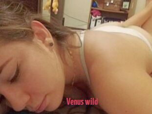 Venus_wild