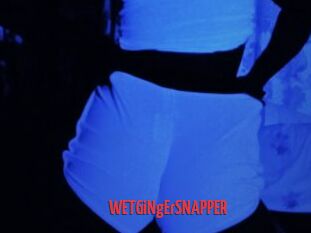 WETGiNgErSNAPPER