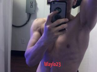 Waylo23