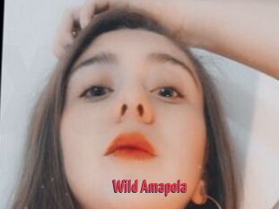 Wild_Amapola