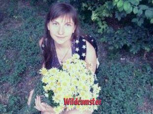 Wildcumster