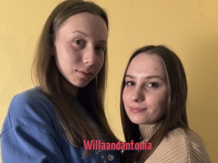 Willaandantonia