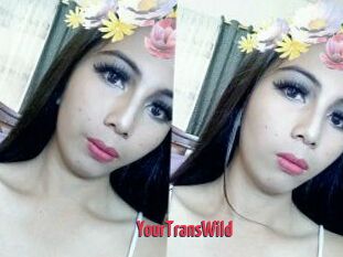 YourTransWild