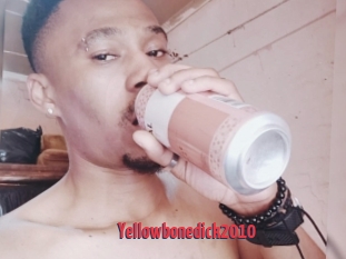 Yellowbonedick2010