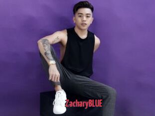 zacharyBLUE X Cam