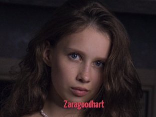 Zaragoodhart